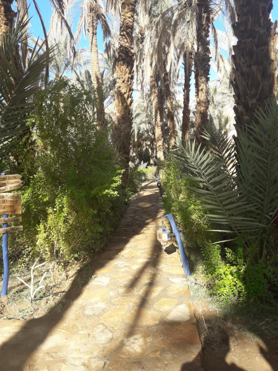 Riad Tagmadarte Ferme D'Hote زڭورة المظهر الخارجي الصورة